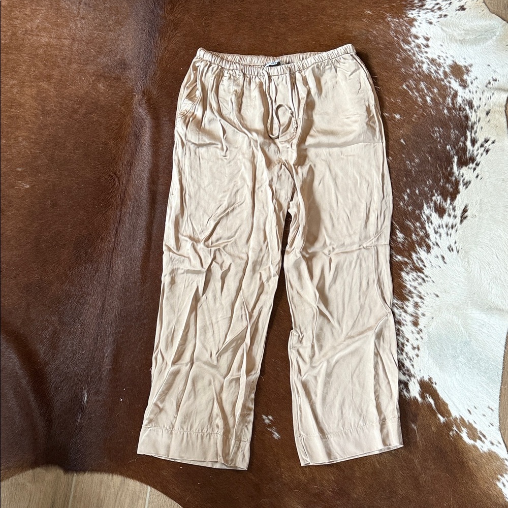 Zara Large Satin Pants